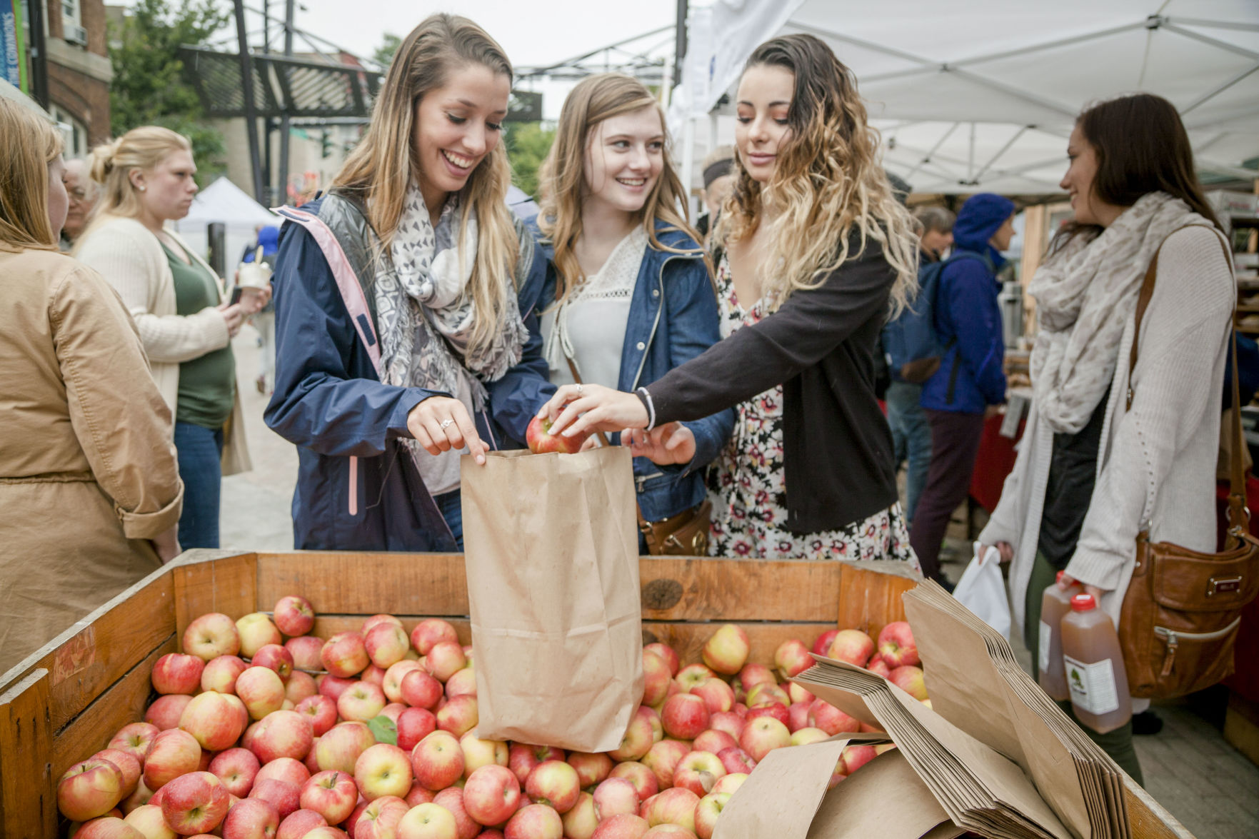 A few festival-goers examine the bountiful apple supply.